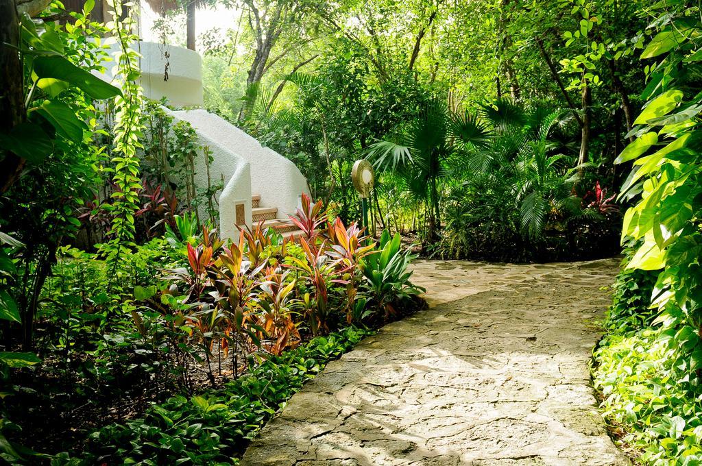 Amarte Maroma Hotel Eco Boutique Spa Punta Maroma エクステリア 写真