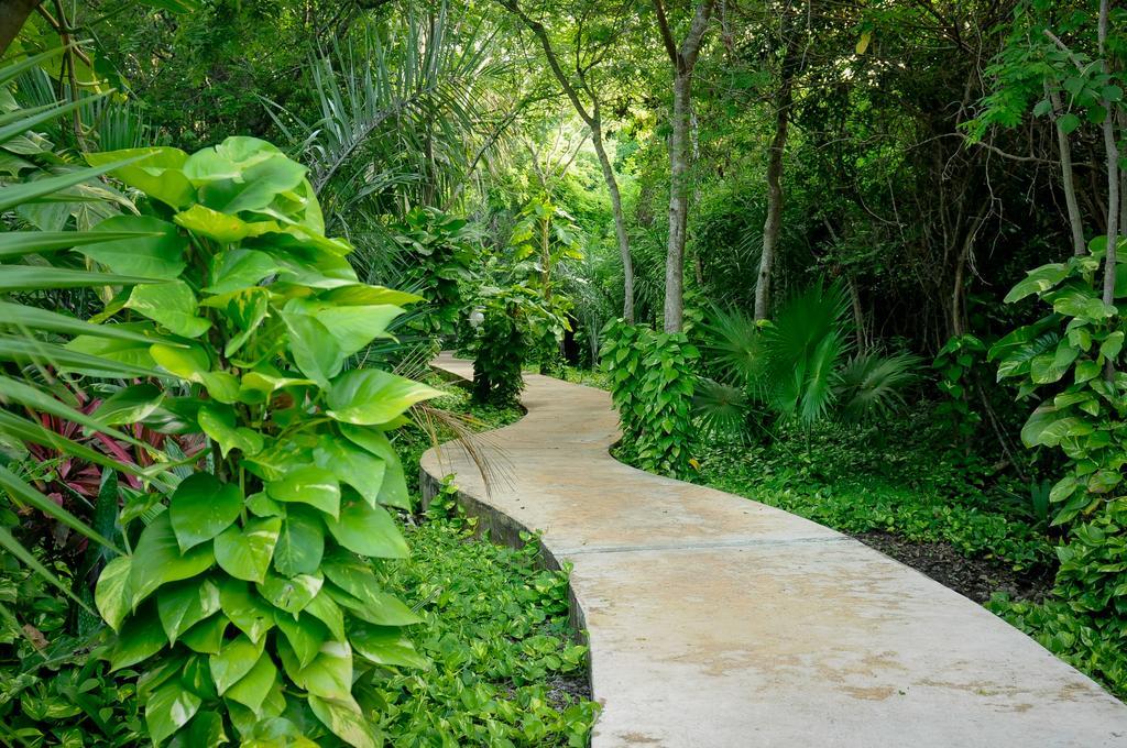 Amarte Maroma Hotel Eco Boutique Spa Punta Maroma エクステリア 写真