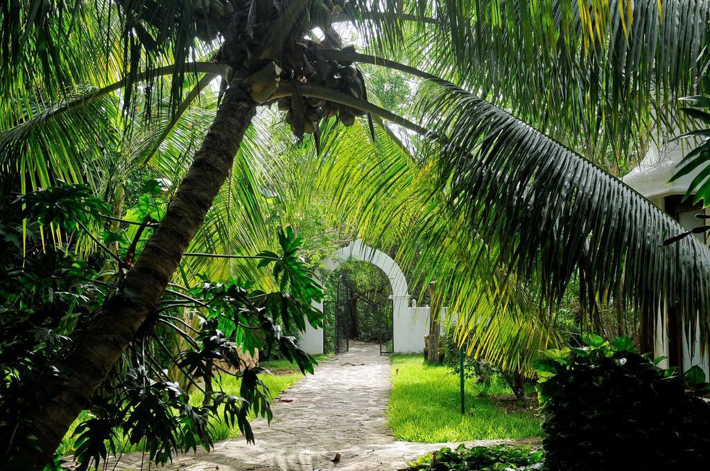 Amarte Maroma Hotel Eco Boutique Spa Punta Maroma エクステリア 写真