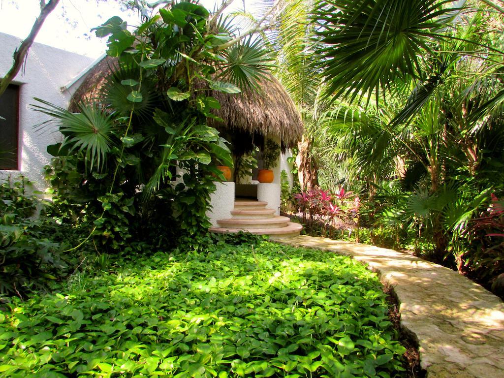 Amarte Maroma Hotel Eco Boutique Spa Punta Maroma エクステリア 写真