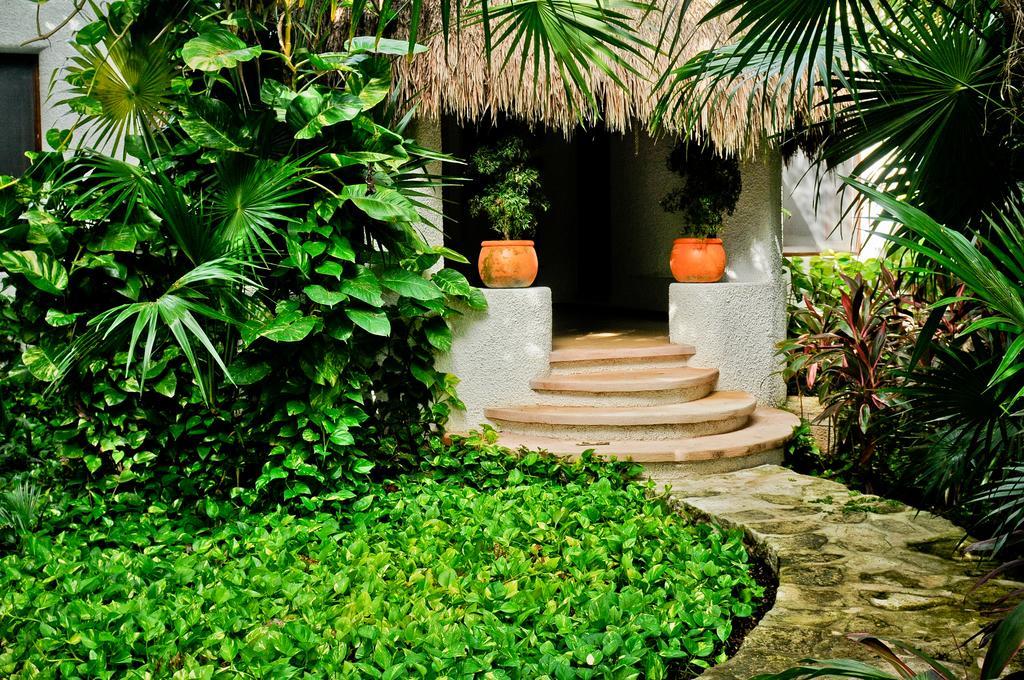 Amarte Maroma Hotel Eco Boutique Spa Punta Maroma 部屋 写真