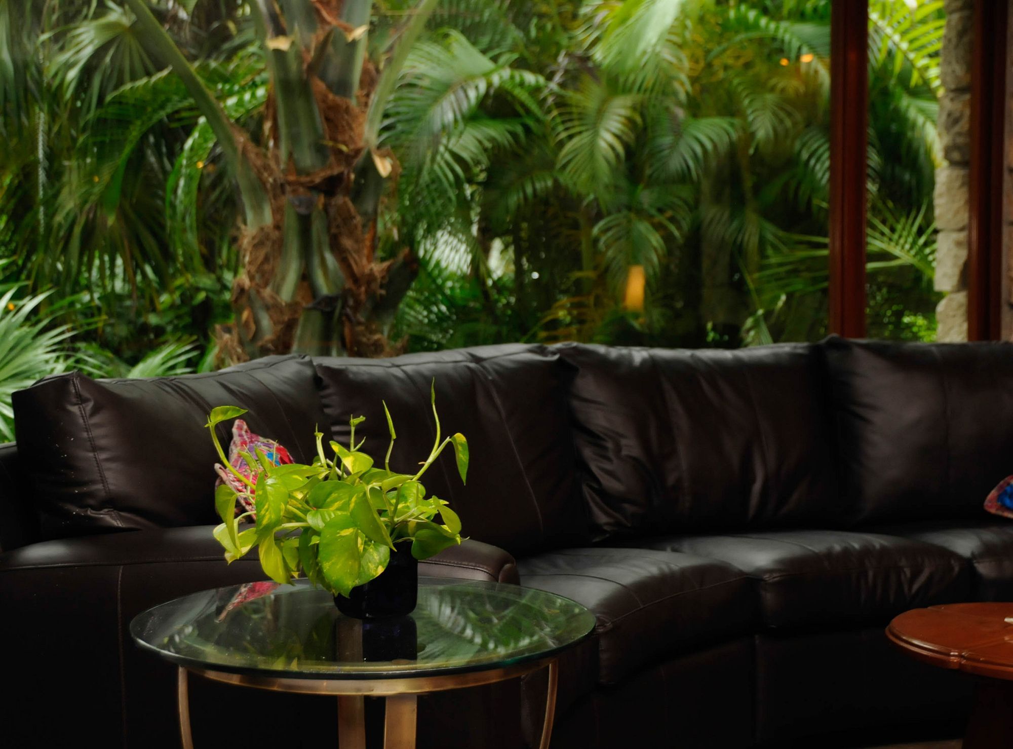 Amarte Maroma Hotel Eco Boutique Spa Punta Maroma エクステリア 写真